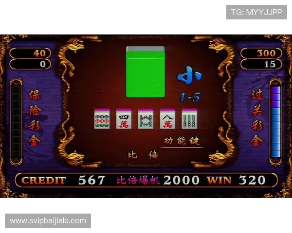 最新龙虎真人图片合集，展现最真实的游戏画面与精彩瞬间